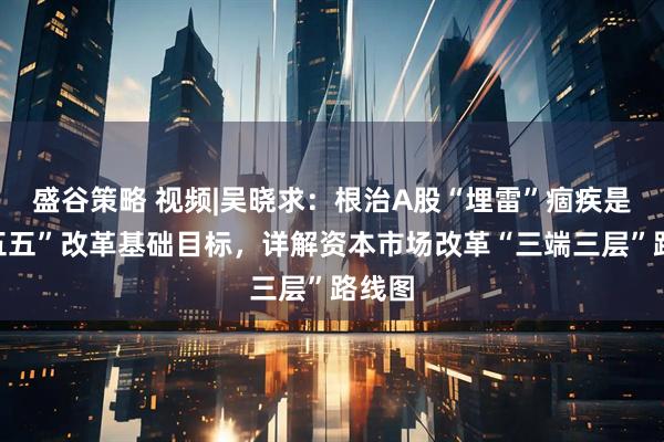 盛谷策略 视频|吴晓求：根治A股“埋雷”痼疾是“十五五”改革基础目标，详解资本市场改革“三端三层”路线图