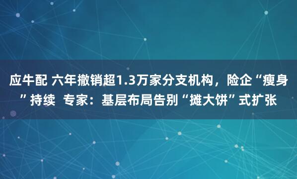 应牛配 六年撤销超1.3万家分支机构,险企“瘦身”持续 专家:基层布局告别“摊大饼”式扩张