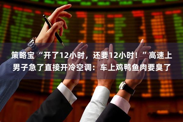 策略宝 “开了12小时，还要12小时！”高速上男子急了直接开冷空调：车上鸡鸭鱼肉要臭了